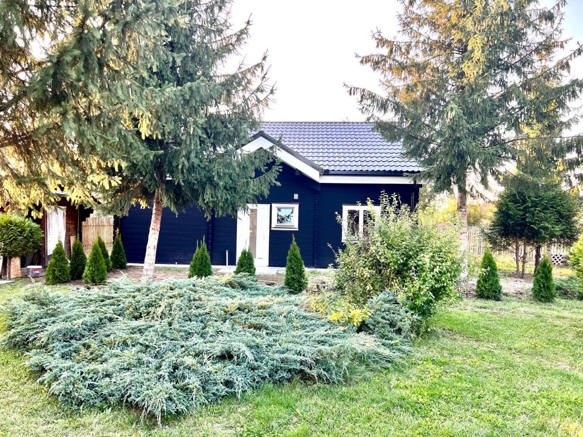 Vila Scandinavia Sîngeorgiu de Mureş Exterior foto